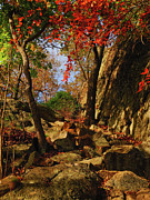 Appalachian Trail Heads Up Bear Mountain Photograph by Raymond Salani III