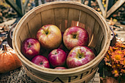 Apple Basket Photograph by Alissa Beth Photography