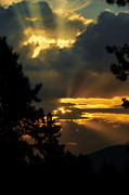 Appreciating Life Photograph by Loni Collins