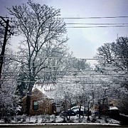 April Snow Photograph by Frank J Casella