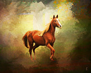 Arabian Horse Photograph by Jai Johnson
