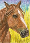Arabian Horse Painting by Margaryta Yermolayeva Arabian Horse Painting by Margaryta Yermolayeva