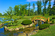 Arched Bridge Photograph by Amanda Jones