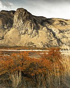 Argentine Scenes 3 Photograph by Ryan Weddle