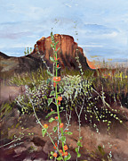 Arizona Desert Flowers-Dwarf Indian Mallow Painting by Jan Dappen Arizona Desert Flowers-Dwarf Indian Mallow Painting by Jan Dappen