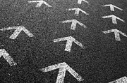Arrows on Asphalt Photograph by Carlos Caetano
