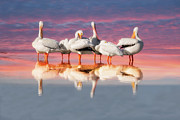 As The Sun Goes Down Photograph by Kim Hojnacki As The Sun Goes Down Photograph by Kim Hojnacki