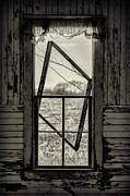 Askew Photograph by Kevin Anderson