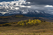 Aspen Circle Photograph by Chuck Jason