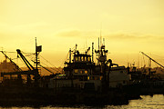 At Days End Photograph by Linda Shafer