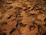 AT Rocks in New York Photograph by Raymond Salani III