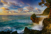 Audacious Symphony Photograph by Amanda Jones
