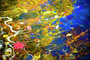 Autumn Abstract Photograph by Carole Gordon