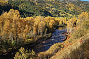 Autumn Along the River I Photograph by Leda Robertson