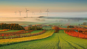 Autumn Atmosphere In Vineyards Photograph by Matej Kovac