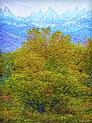 Autumn Becomes Winter Digital Art by Joel Bruce Wallach