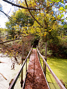 Autumn Bridge Photograph by Azthet Photography