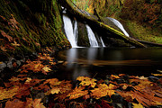 Autumn Flashback Photograph by Andrew Kumler