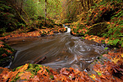 Autumn Flow Photograph by Andrew Kumler