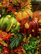 Autumn Grouping Photograph by Jennifer White
