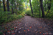 Autumn Hiking Photograph by Jackson Pearson