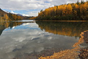 Autumn In Alaska Photograph by Steve Wolfe
