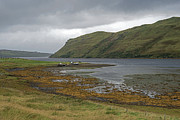 Autumn in Isle of Skye Photograph by Dubi Roman