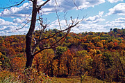 Autumn in West Virginia Photograph by Mike Murdock