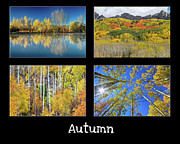 Autumn Photograph by James BO Insogna Autumn Photograph by James BO Insogna
