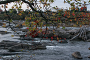 Autumn leaves frame the James River Photograph by Liz Albro
