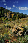 Autumn Morning In The Canyon Photograph by Ron Cline