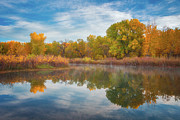 Autumn Pond Photograph by Darren White
