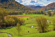 Autumn Splendor Photograph by Mark Mille