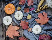 Autumn Still Life Photograph by Kim Hojnacki Autumn Still Life Photograph by Kim Hojnacki