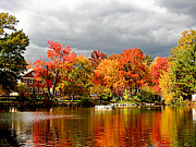 Autumn Storm Coming Photograph by Susan Savad Autumn Storm Coming Photograph by Susan Savad