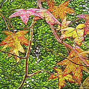 Autumn Sycamore Afternoon Digital Art by Joel Bruce Wallach