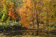 Autumn Tranquility 2 Photograph by Frank Mari