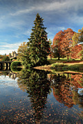 Autumn Tree Reflection Photograph by Grant Glendinning Autumn Tree Reflection Photograph by Grant Glendinning