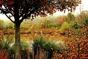 Autumn Views Photograph by Allen Nice-Webb