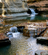 Autumnal Pool Photograph by Azthet Photography