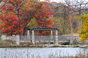 Autumn's Beauty Photograph by Jackson Pearson