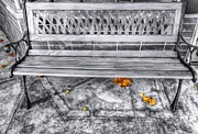 Autumns Children Photograph by Brad Hodges