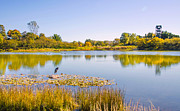 Autumns Garden Landscape Photograph by Julie Palencia