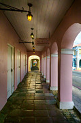 Avenue Photograph by Amanda Jones