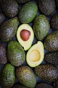 Avocado Photograph by Tim Gainey