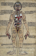 Ayurvedic Man, 18th Century Photograph by Wellcome Images