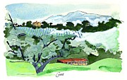 Azienda  Montoro  Southern Umbria Painting by Joan Cordell