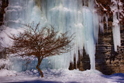 Backdrop Photograph by Amanda Jones
