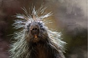 Bad Hairday Mixed Media by Eva Lechner