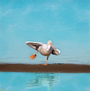 Balancing Act Photograph by Kim Hojnacki Balancing Act Photograph by Kim Hojnacki
